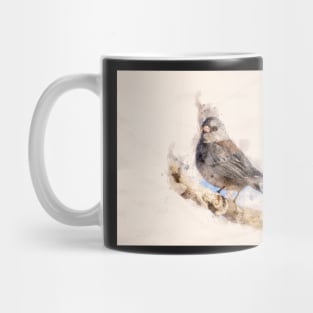 Dark Eyed Junco Watercolor Mug